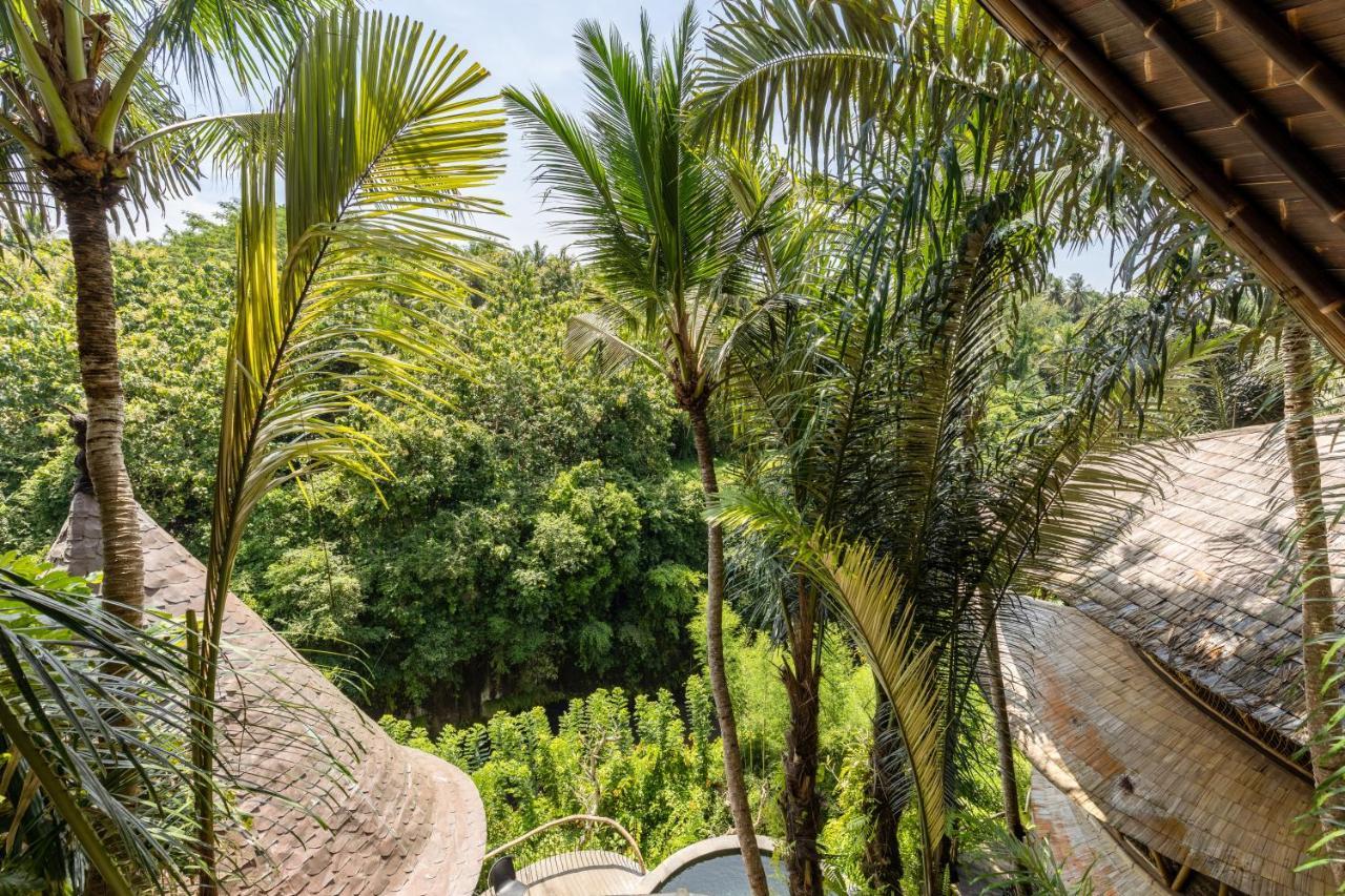 Eclipse House 4Bds Eco Bamboo House Pool Riverview Bringkit Екстер'єр фото
