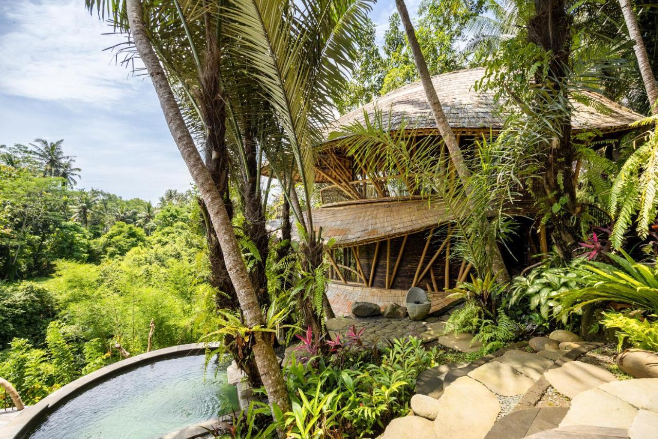 Eclipse House 4Bds Eco Bamboo House Pool Riverview Bringkit Екстер'єр фото